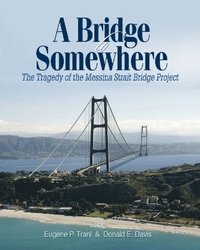 bokomslag Bridge to Somewhere