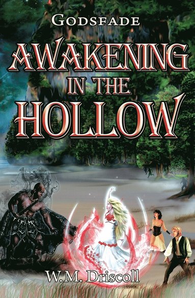 W M Driscoll - Awakening in the Hollow, Häftad