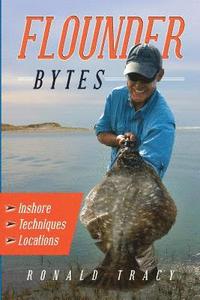 bokomslag Flounder Bytes