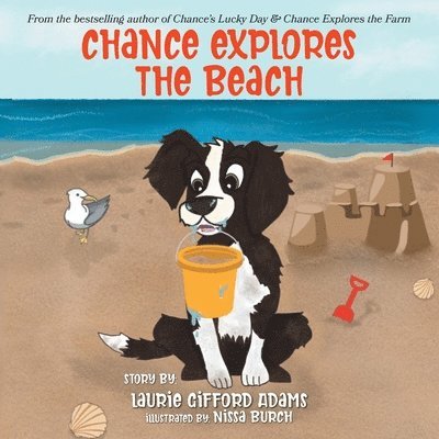 Chance Explores the Beach 1