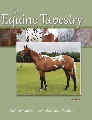 Lesli Kathman - Equine Tapestry, Inbunden