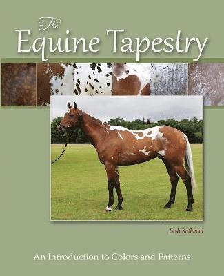 The Equine Tapestry 1