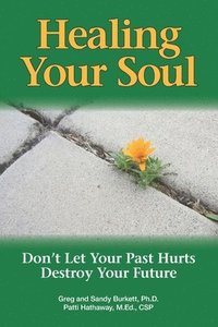 bokomslag Healing Your Soul: Don't Let Your Past Hurts Destroy Your Future