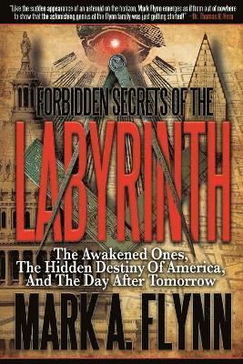 bokomslag Forbidden Secrets of the Labyrinth