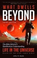 bokomslag What Dwells Beyond