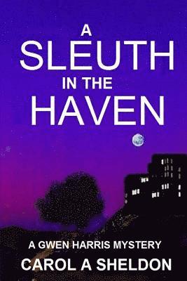 A Sleuth in The Haven 1