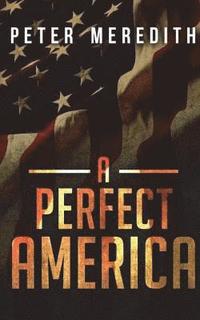 bokomslag A Perfect America