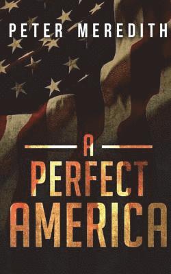 Peter Meredith - A Perfect America, Häftad