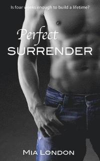 bokomslag Perfect Surrender