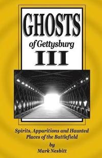 bokomslag Ghosts of Gettysburg III: Spirits, Apparitions and Haunted Places of the Battlefield