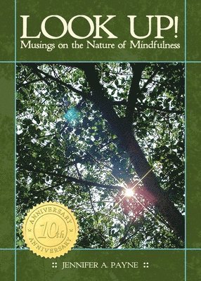 Look Up!: Musings on the Nature of Mindfulness 1