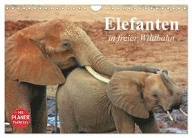 Naomi Lau - Commander Charlee: In Search of a Space Crew, Inbunden