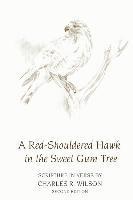 bokomslag A Red-Shouldered Hawk In The Sweet Gum Tree: Scripture in Verse