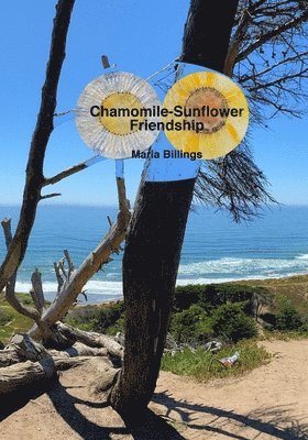 Chamomile-Sunflower Friendship 1