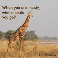 When you are ready, where could you go? 1