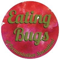 bokomslag Eating Bugs: A Fermentation Sensation