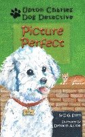 Picture Perfect: Upton Charles-Dog Detective 1