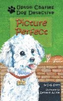 D. G. Stern - Picture Perfect: Upton Charles-Dog Detective, Häftad
