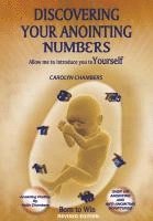 bokomslag Discovering Your Anonting Numbers
