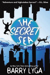 bokomslag The Secret Sea