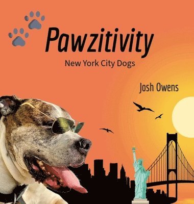 bokomslag Pawzitivity New York City Dogs