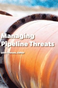 bokomslag Managing Pipeline Threats