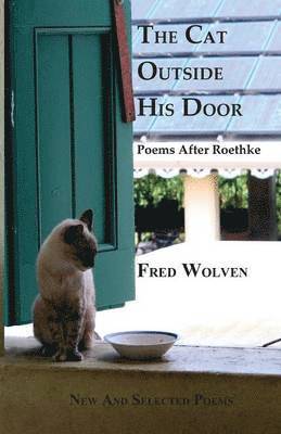 Cat Outside His Door