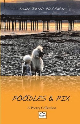 bokomslag Poodles & Pix