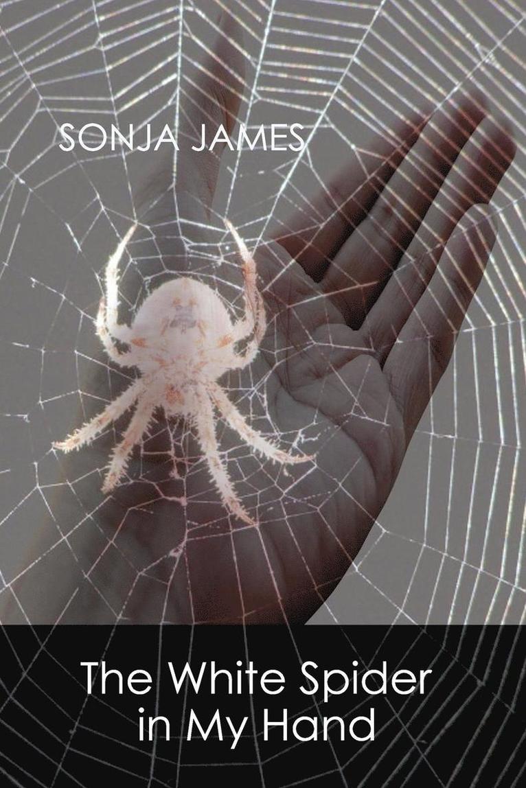 White Spider in My Hand 1
