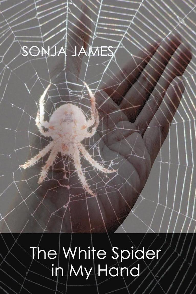 The White Spider in My Hand 1