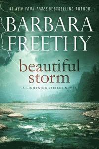 Barbara Freethy - Beautiful Storm, Häftad