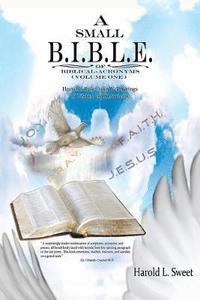 bokomslag A Small B.I.B.L.E. of Biblical Acronyms
