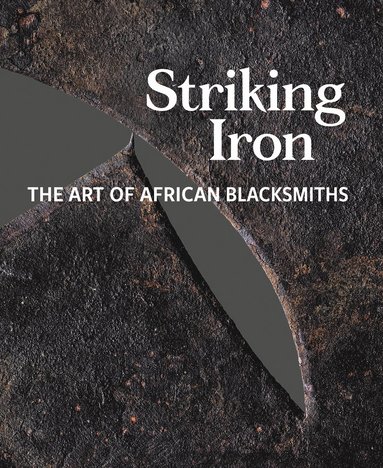 bokomslag Striking Iron