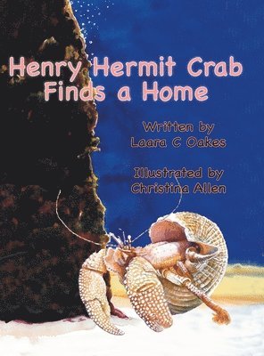 Henry Hermit Crab Finds a Home 1