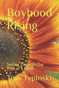 bokomslag Boyhood Rising