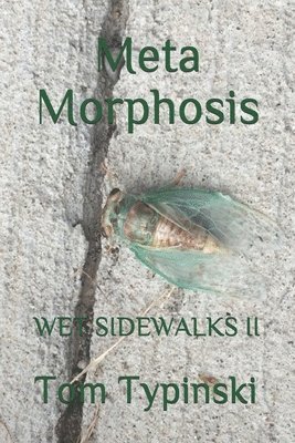 Meta Morphosis 1