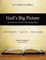 bokomslag God's Big Picture: An Overview of God's Developing Story