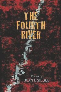 bokomslag The Fourth River
