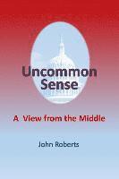 bokomslag Uncommon Sense: A View From The Middle