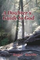 bokomslag A Doubter's Guide to God