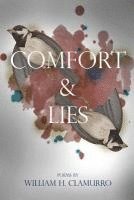 bokomslag Comfort & Lies