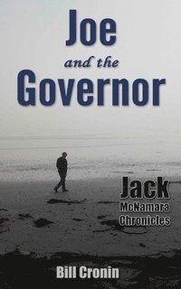 bokomslag Joe and the Governor