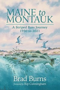 bokomslag Maine to Montauk