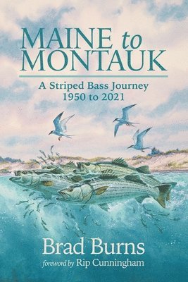 bokomslag Maine to Montauk