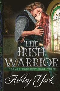 bokomslag The Irish Warrior