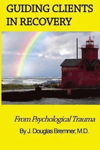 bokomslag Guiding Clients in Recovery from Psychological Trauma