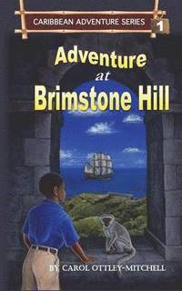 bokomslag Adventure at Brimstone Hill