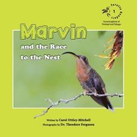 bokomslag Marvin and the Race to the Nest