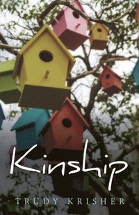 bokomslag Kinship