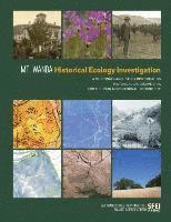 bokomslag Mt. Wanda Historical Ecology Investigation